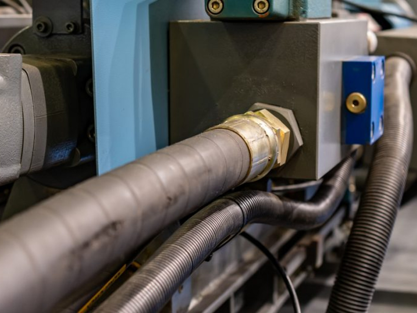 Custom Hoses Cam Co.